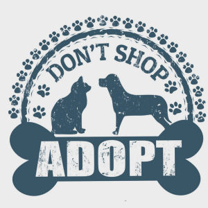 adopt a shelter dog month 